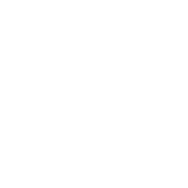 Animal Icon