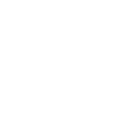 Paw Icon